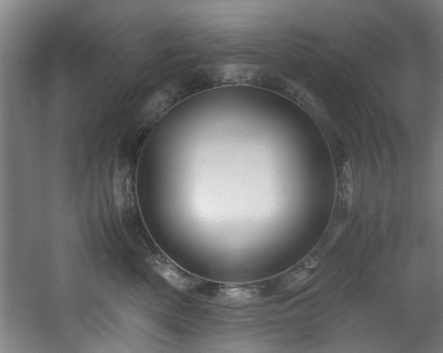 X0000060780522200511101343