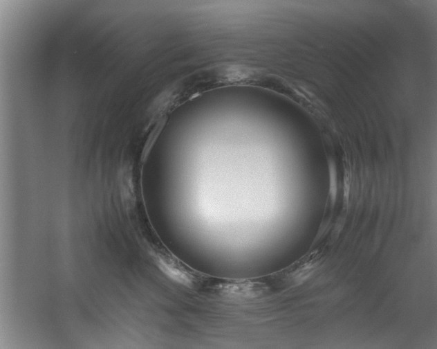 X0000060780524200511101343