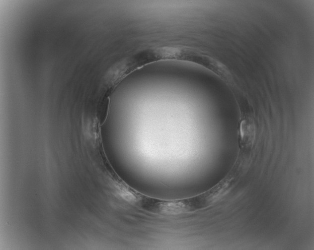 X0000060780525200511101343