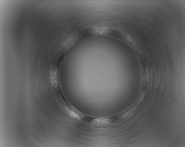 X0000060780526200511101343