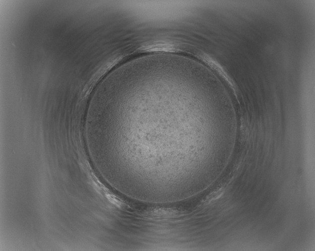 X0000060780529200511101342