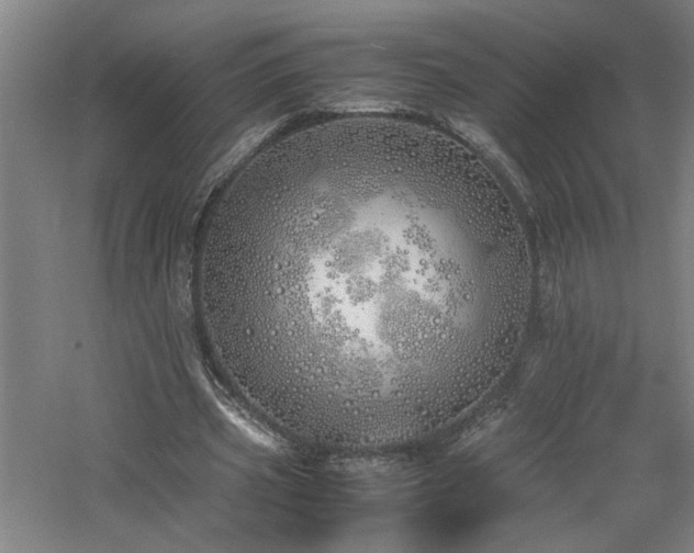 X0000060780533200511101342