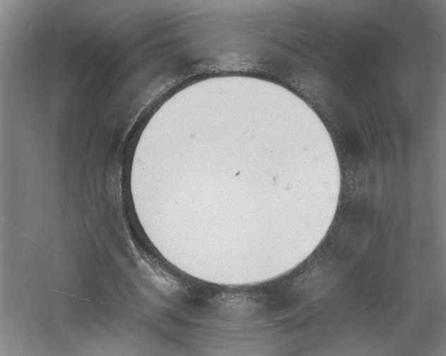 X0000060780534200511101342