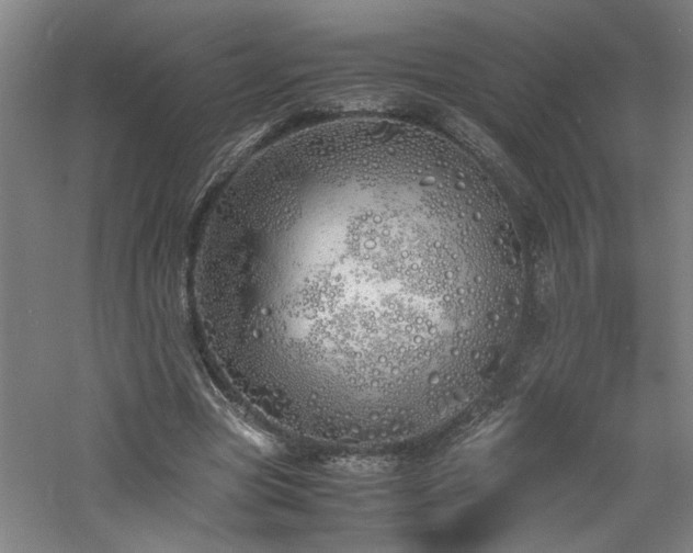 X0000060780537200511101342