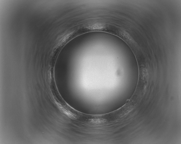 X0000060780541200511101342