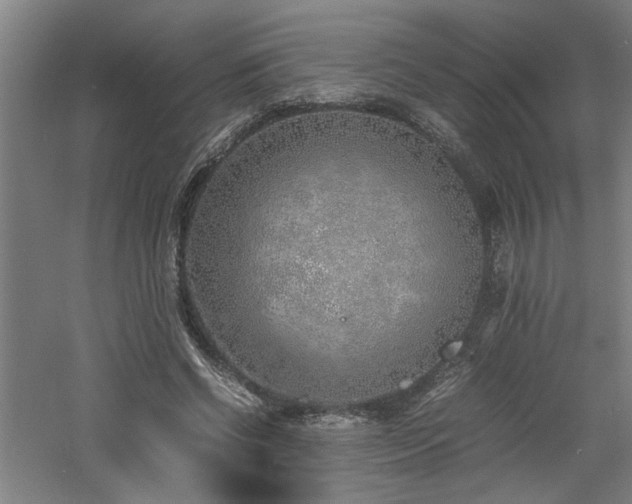 X0000060780542200511101342