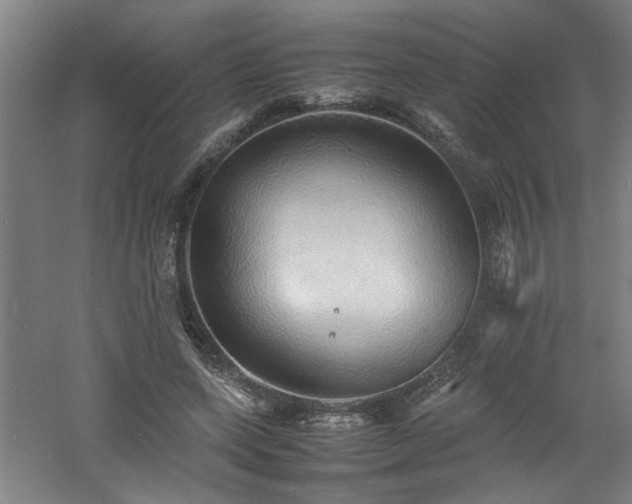 X0000060780543200511101342