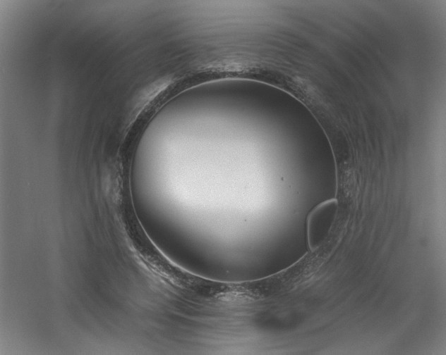 X0000060780544200511101342