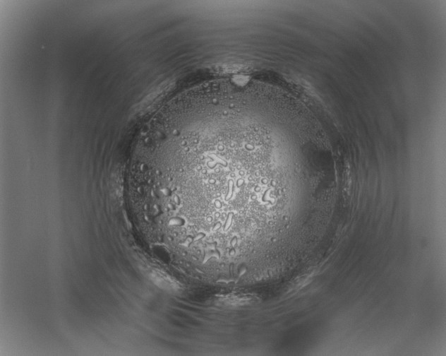 X0000060780545200511101342