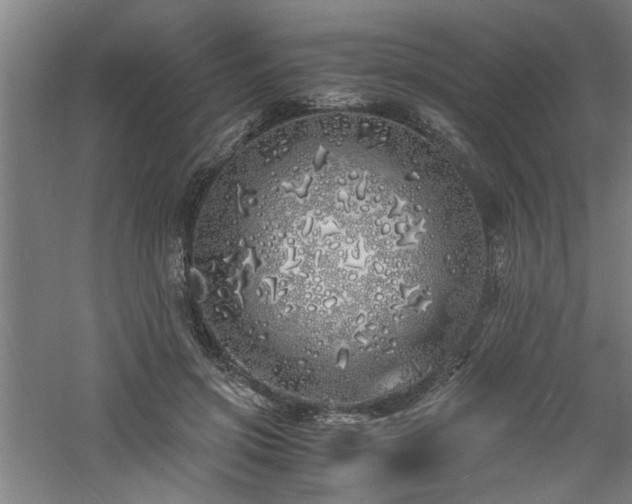 X0000060780549200511101342