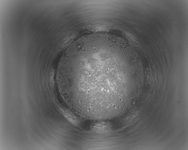 X0000060780550200511101342