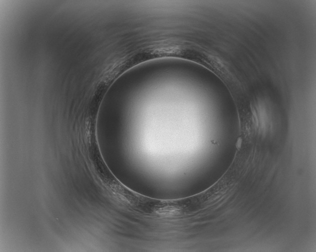 X0000060780551200511101342