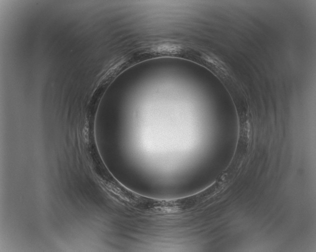 X0000060780552200511101342