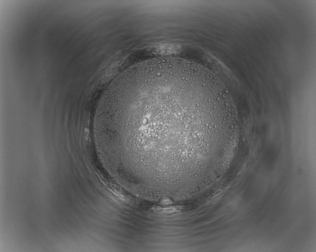 X0000060780553200511101342