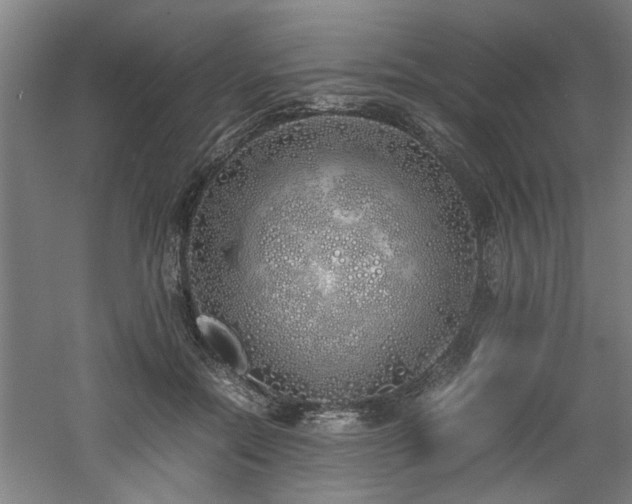 X0000060780554200511101342