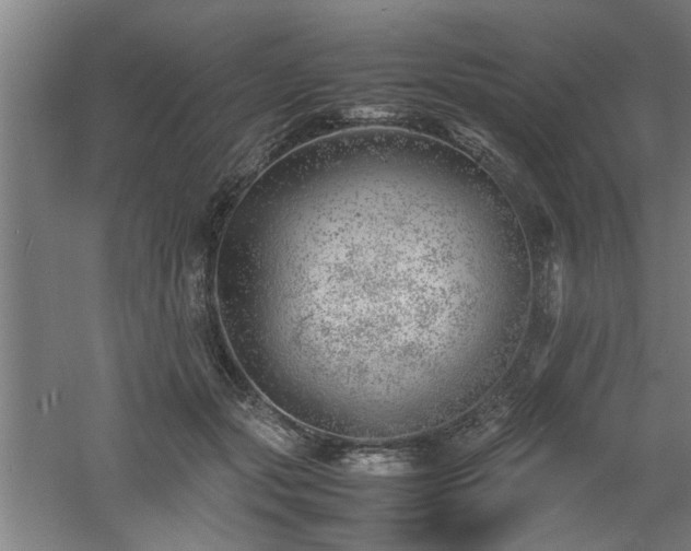 X0000060780557200511101342