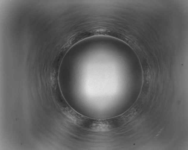 X0000060780559200511101342