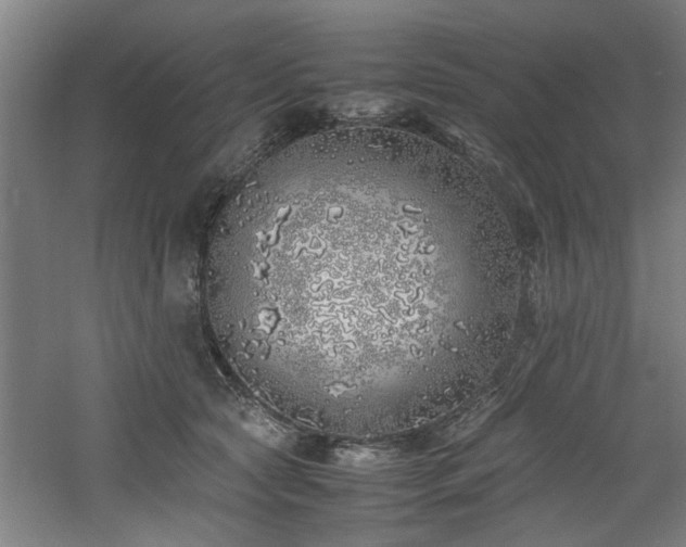 X0000060780561200511101342