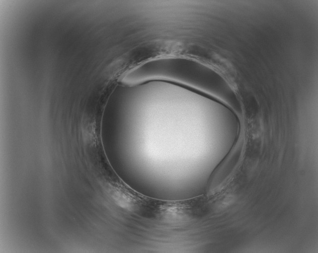 X0000060780564200511101343