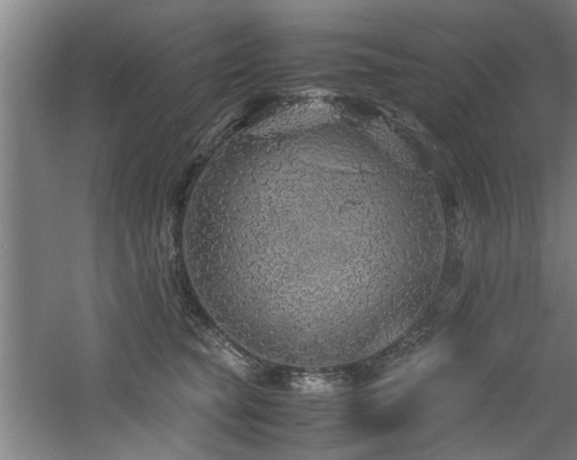 X0000060780565200511101343