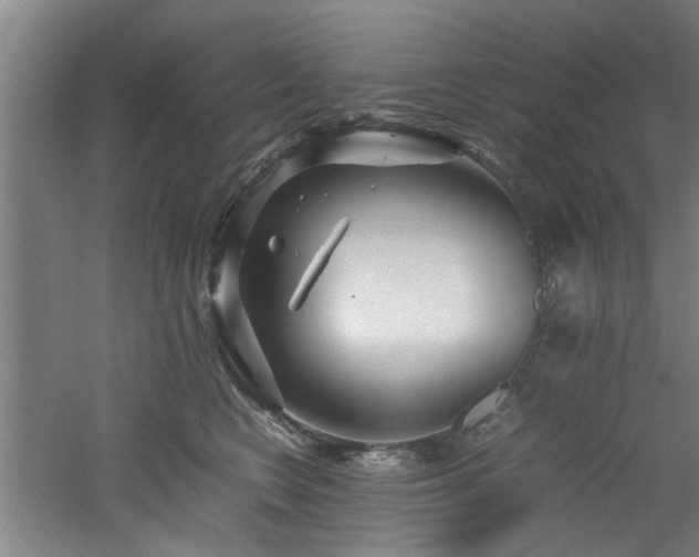 X0000060780566200511101343