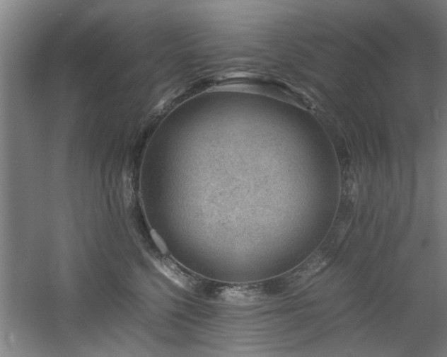 X0000060780568200511101343