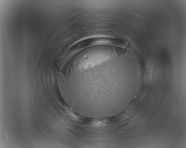 X0000060780569200511101343