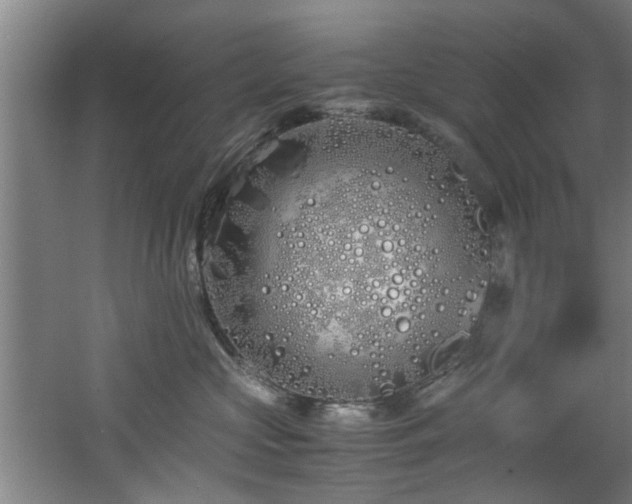 X0000060780573200511101343