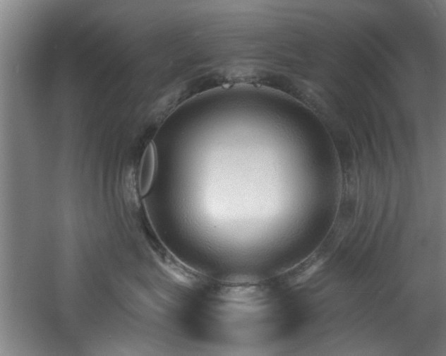 X0000060780575200511101343