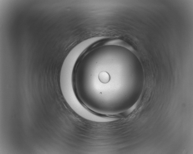 X0000060780576200511101343