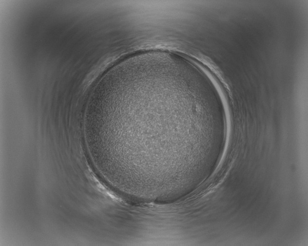 X0000060780577200511101342