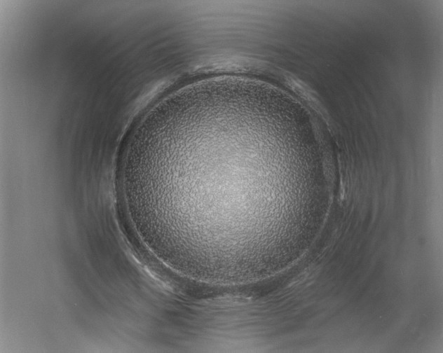 X0000060780578200511101342