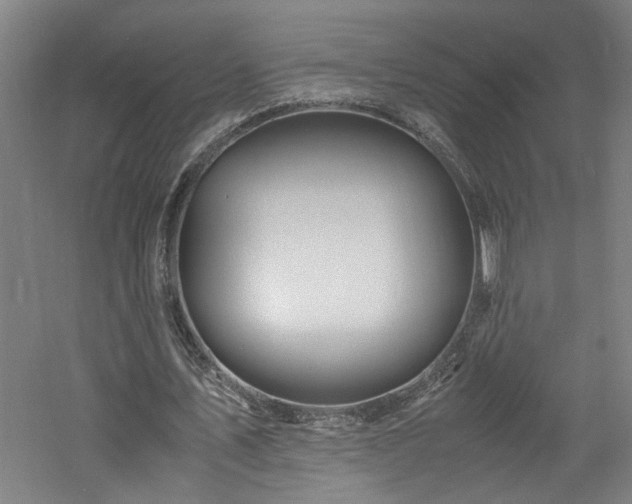 X0000060780579200511101342