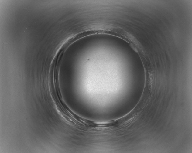 X0000060780580200511101342