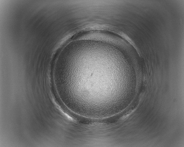 X0000060780581200511101342