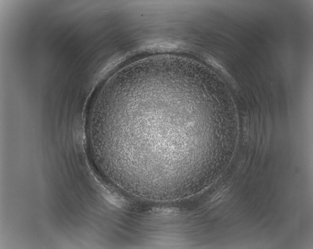 X0000060780582200511101342