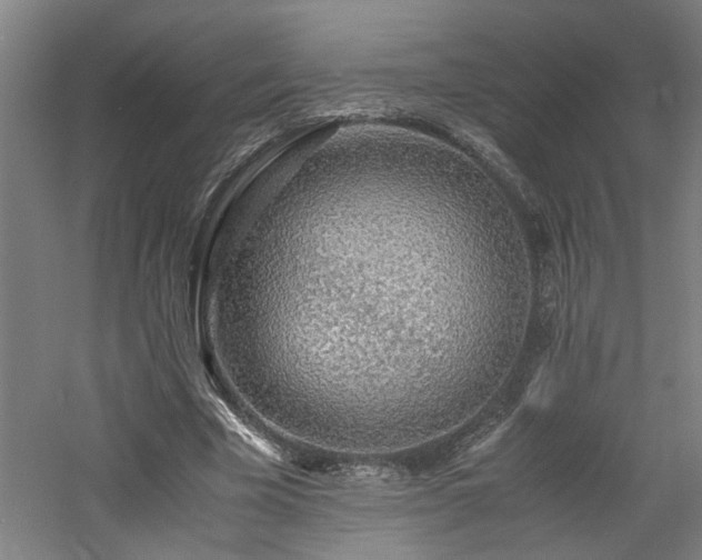 X0000060780585200511101342