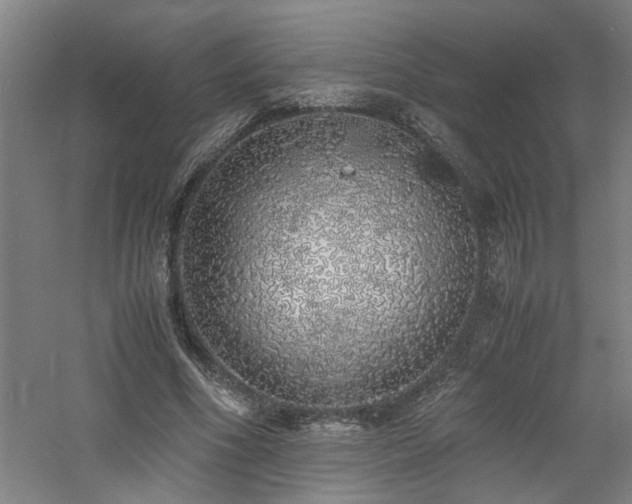 X0000060780586200511101342