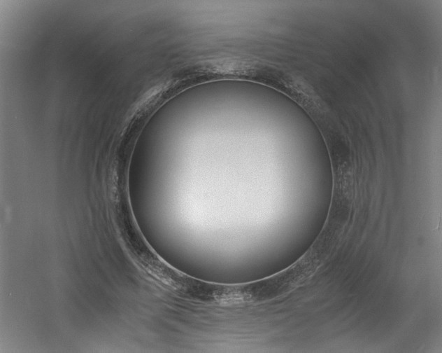 X0000060780587200511101342