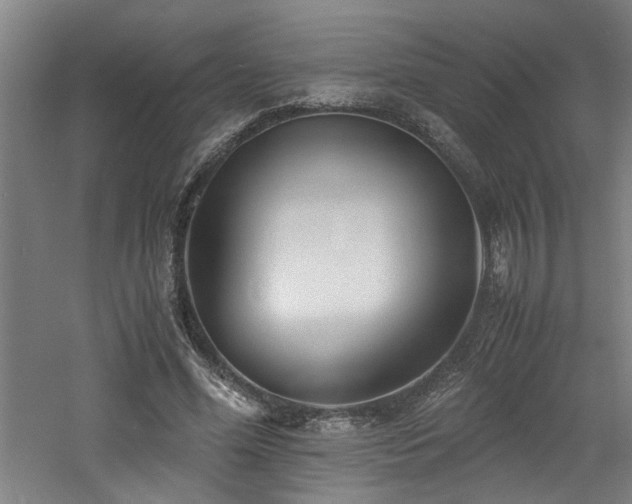 X0000060780588200511101342