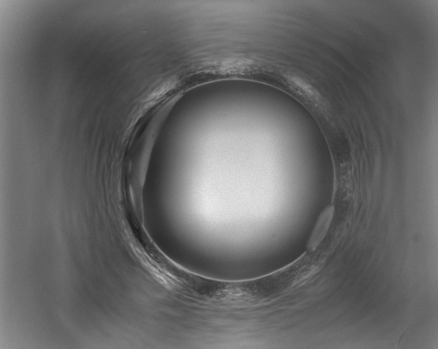 X0000060780589200511101342