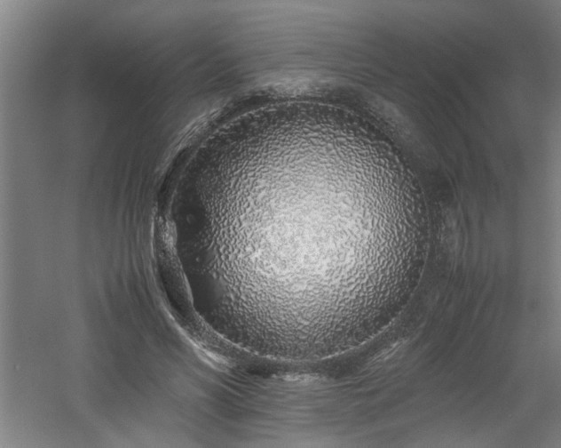 X0000060780590200511101342