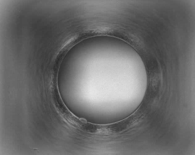 X0000060780591200511101342