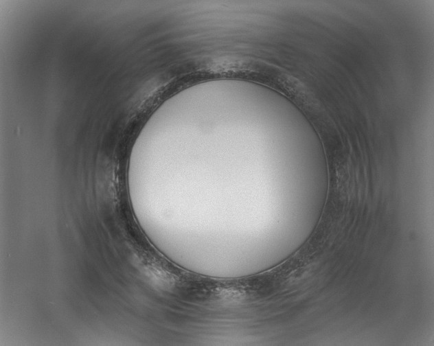 X0000060780592200511101342