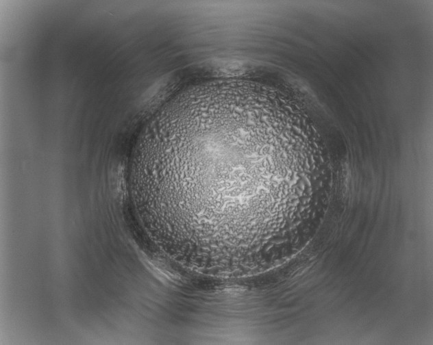 X0000060780598200511101342