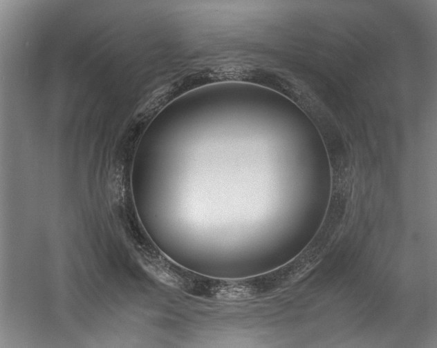 X0000060780599200511101342