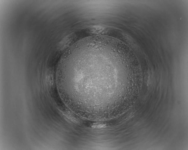 X0000060780602200511101342