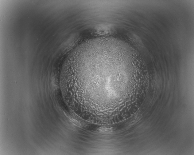 X0000060780606200511101341