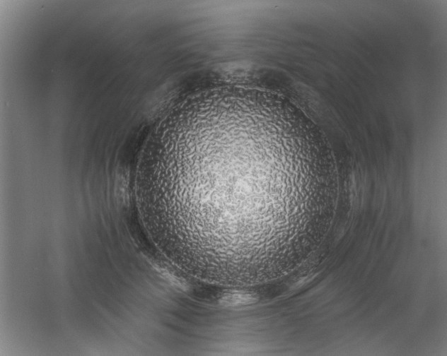 X0000060780610200511101341