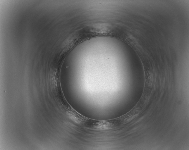 X0000060780612200511101341